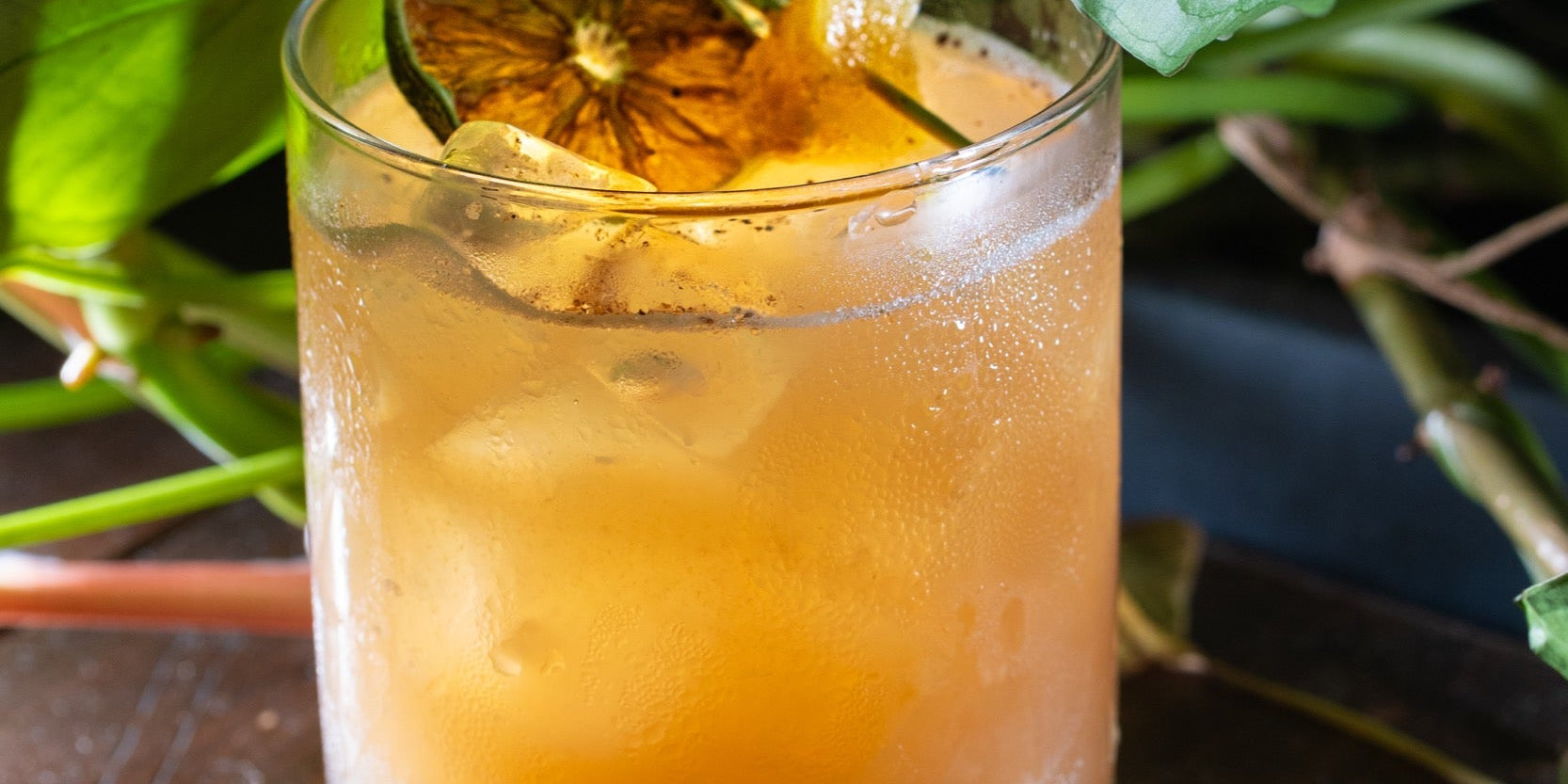 Tequila Sour