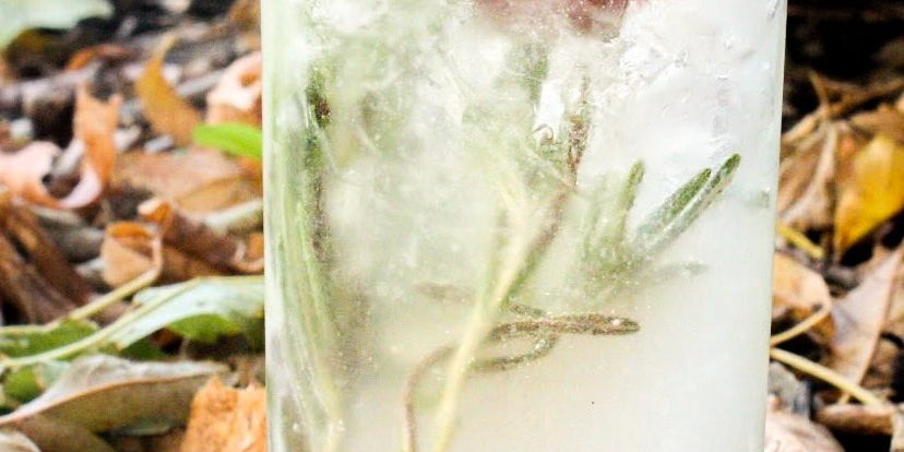 Classic Abiding Gin + Tonic