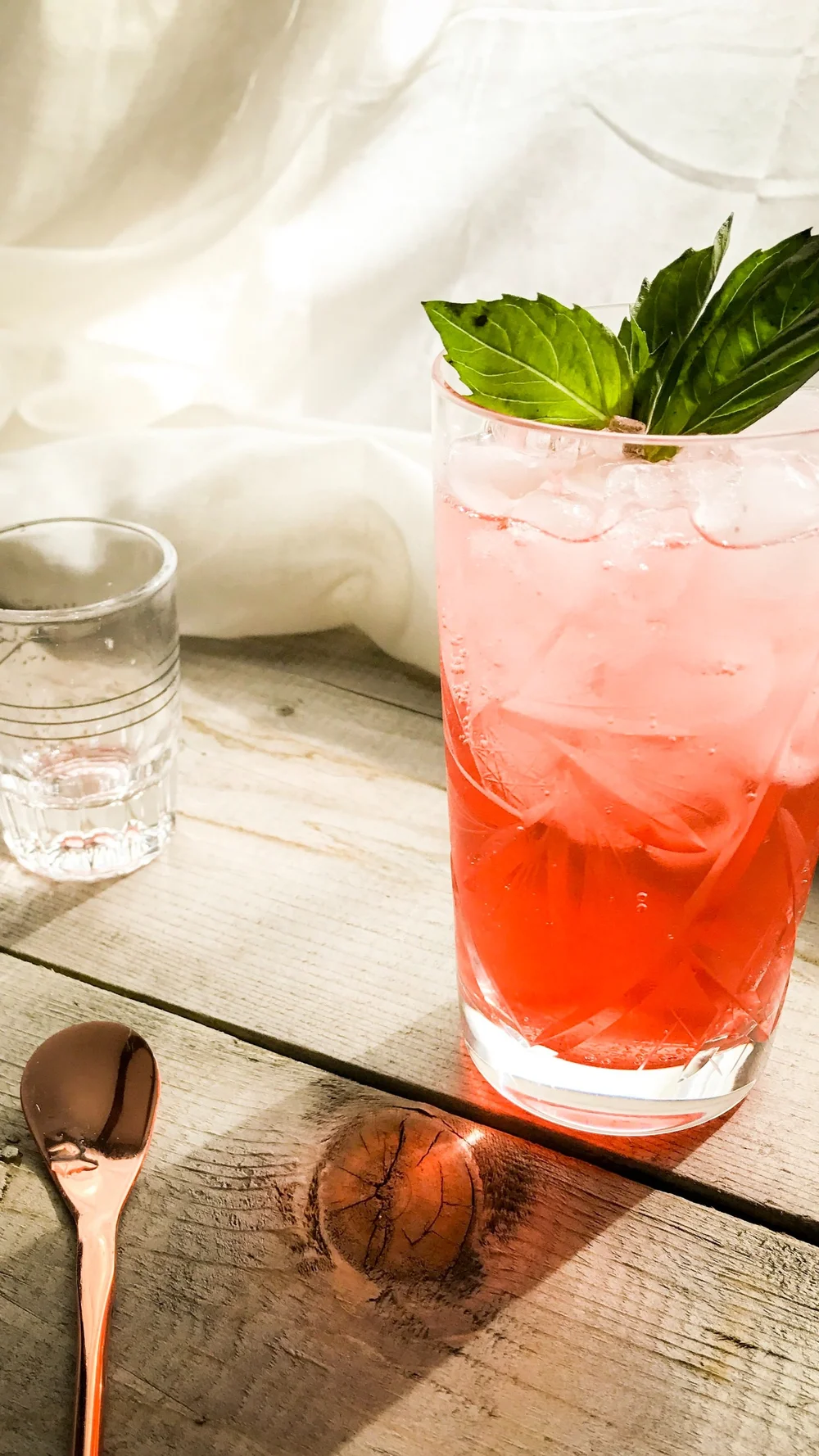 Shrub Cocktail
