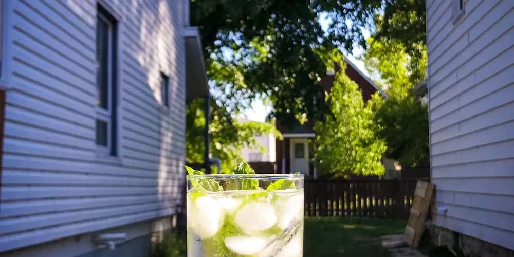 Mojito