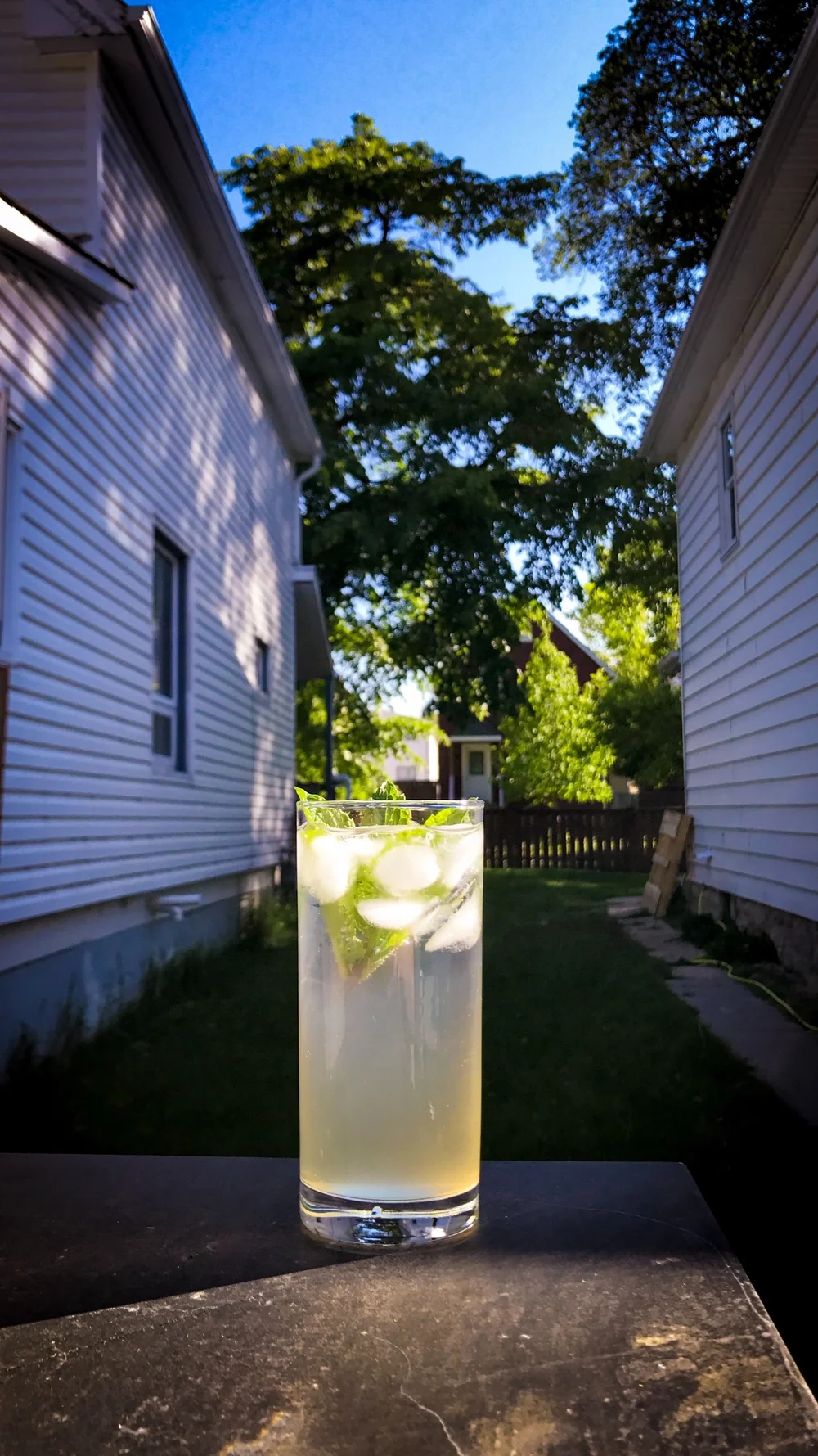 Mojito