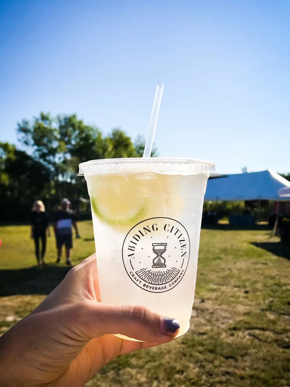 Vodka Shrub Soda