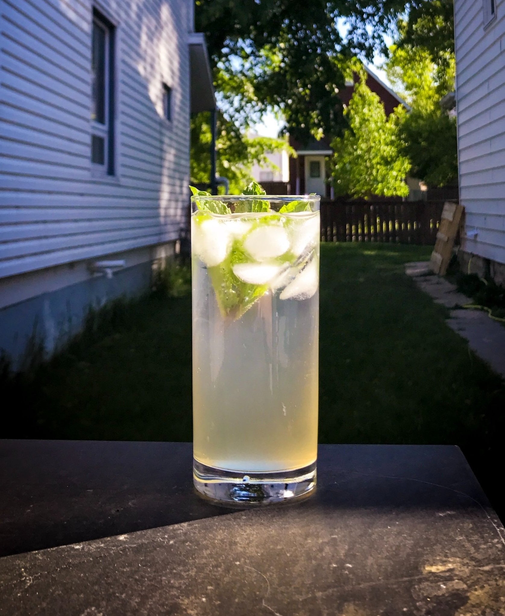 Classic Abiding Mojito